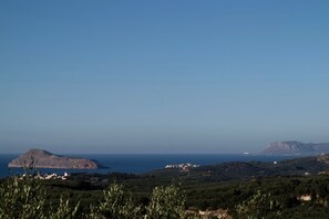 Vista desde la propiedad
