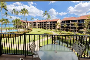 View from Lanai