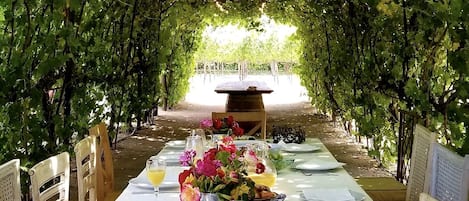 Dine under the grapevines 