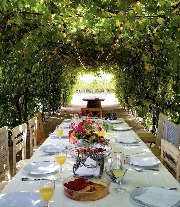 Dine under the grapevines 