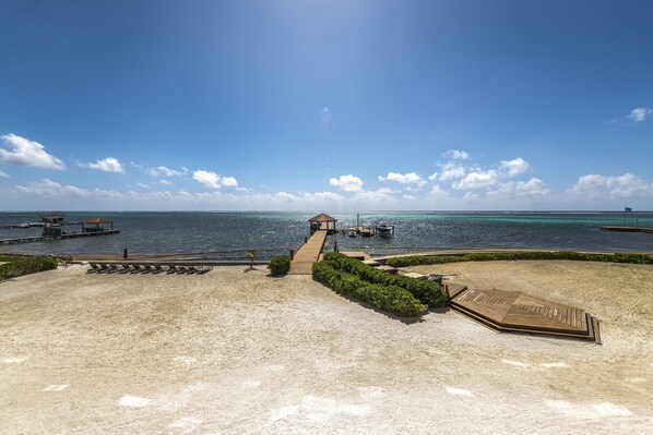 View from the Patio