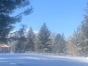 Skidåkning och snöaktiviteter