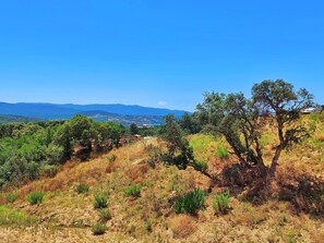 Εξωτερικός χώρος καταλύματος