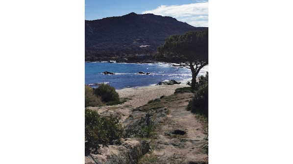 Strand
