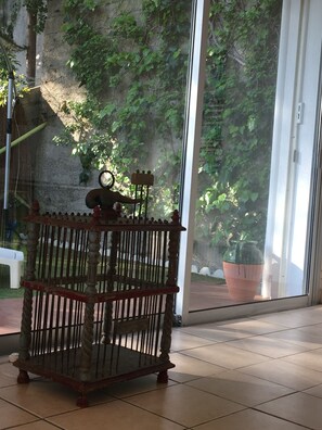 Vue sur la terrasse 