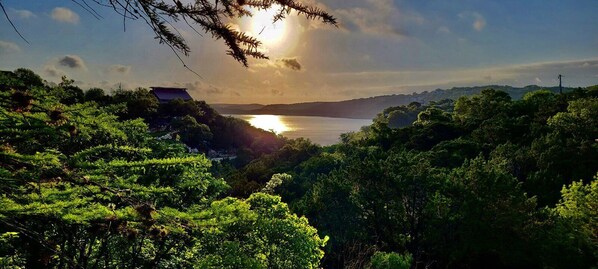 View from every window in the house Canyon Lake