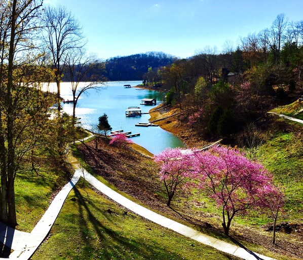 Spring views from the top deck