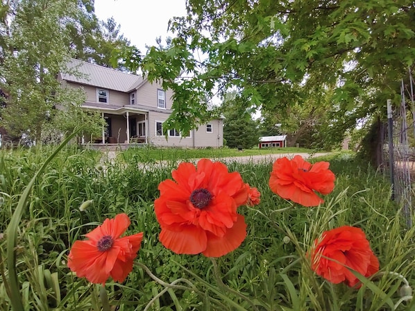 Farm to Folklore welcomes you to stay at Ms.J's Rustic Farmhouse. 