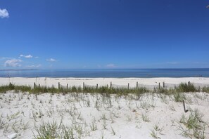 Mexico Beach Dunes