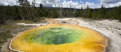 Yellowstone National ParkYellowstone National Park