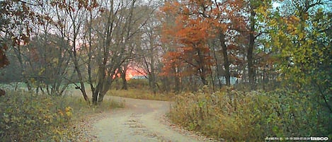 Driveway facing Southeast