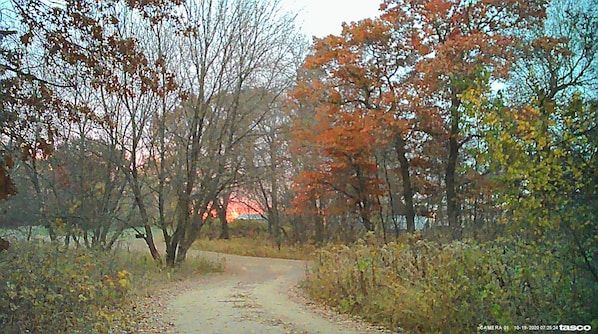 Driveway facing Southeast