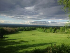 The Pasture
