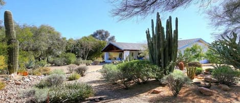 very unique property with your own private desert Oasis