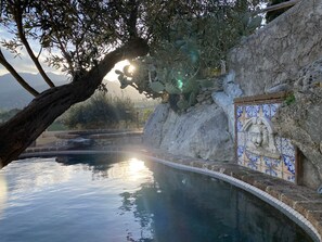 Pool with a view and olive trees