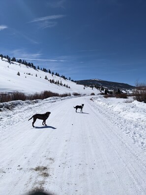 Wintersport/Ski