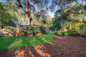 Back yard