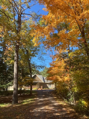 Beautiful fall colours to explore