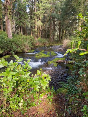 Enjoy the peace and tranquility of Bob Creek!