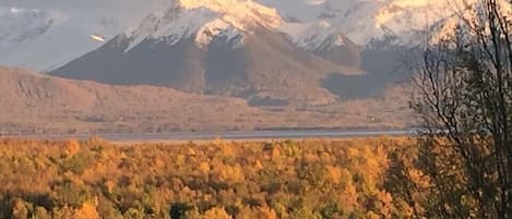 View in the fall from private deck 