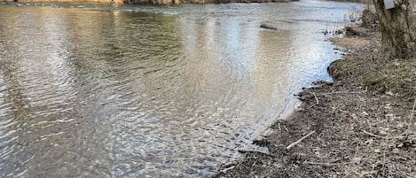 Crystal clear Craig Creek steps away from your front porch. 