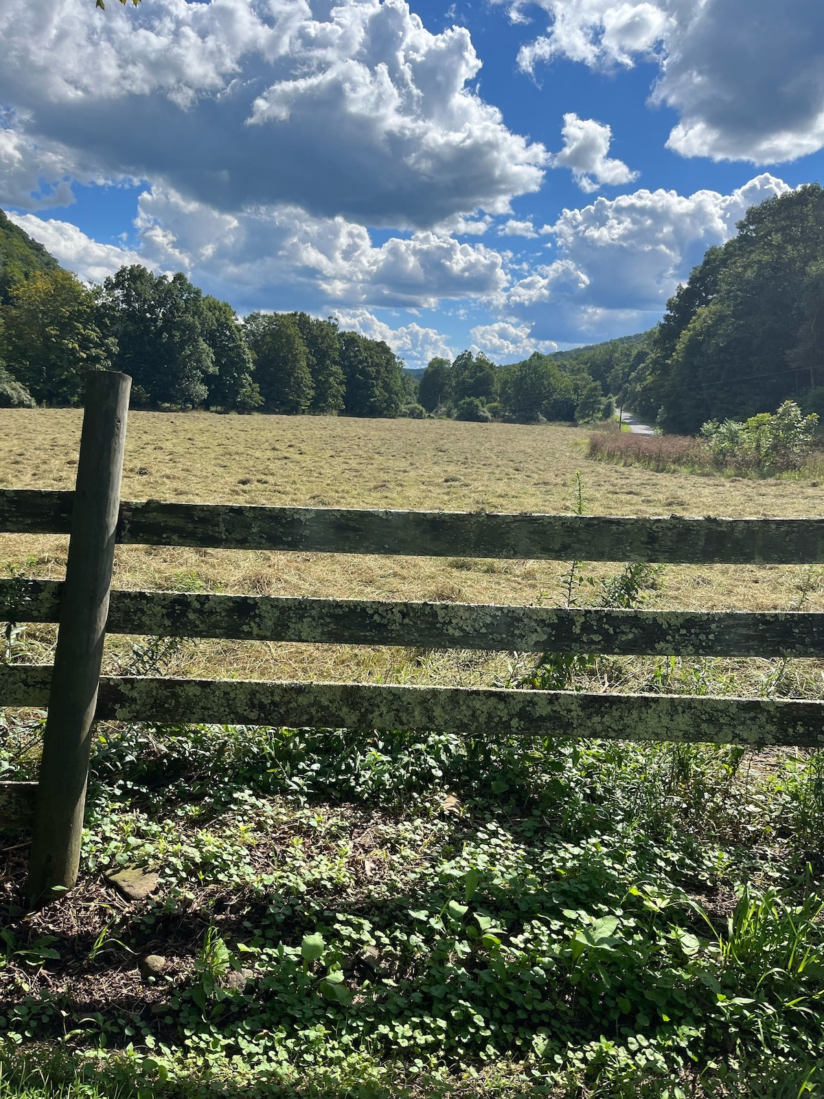 Secluded 3 bedroom home with creek in the back yard