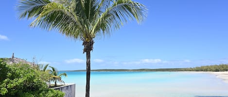 Backyard paradise right on the beach