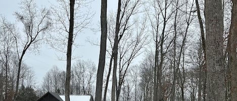 Deportes de invierno