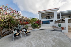 Garden view. Primarily plants native to the island of Curacao.