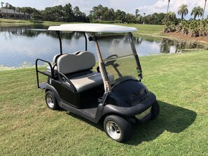 4 Seater Golf Cart Included!