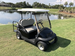 4 Seater Golf Cart Included!