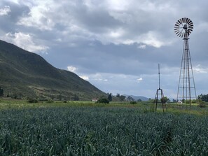 Overnatningsstedets område