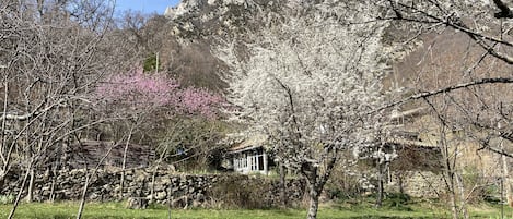 Terrain de l’hébergement 