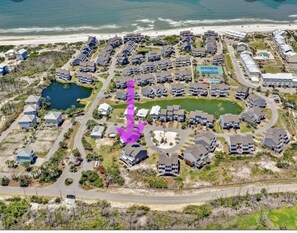 Located where the purple arrow is