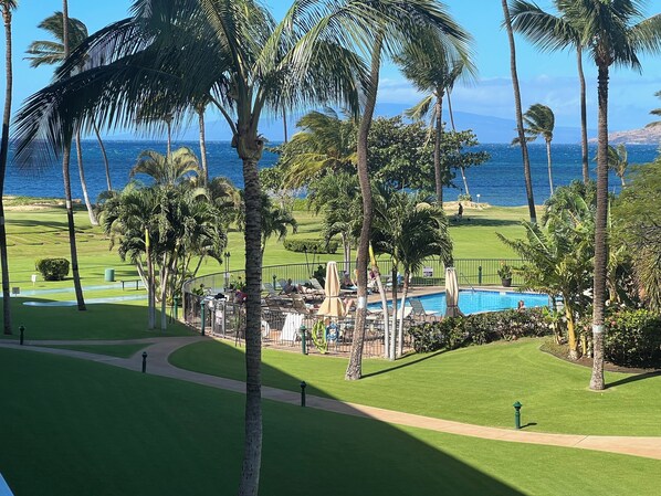 View from the lani