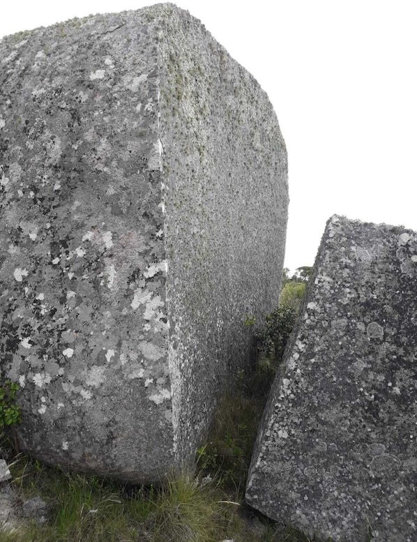 Övrigt