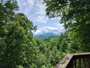 Deck View