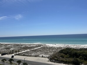 Your view!