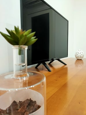 Fernseher