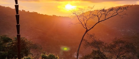 Vista da propriedade