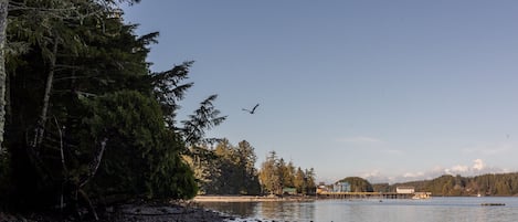 Steps from the inlet