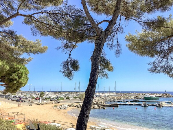 Arbre, Ciel, Plage, Jour, Mer, Suppression Des Plantes Ligneuses, Côte, Rive, Tourisme, Vacances