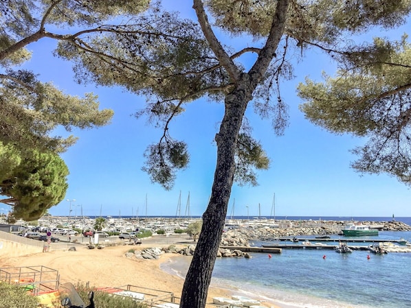 Arbre, Ciel, Plage, Jour, Mer, Suppression Des Plantes Ligneuses, Côte, Rive, Tourisme, Vacances