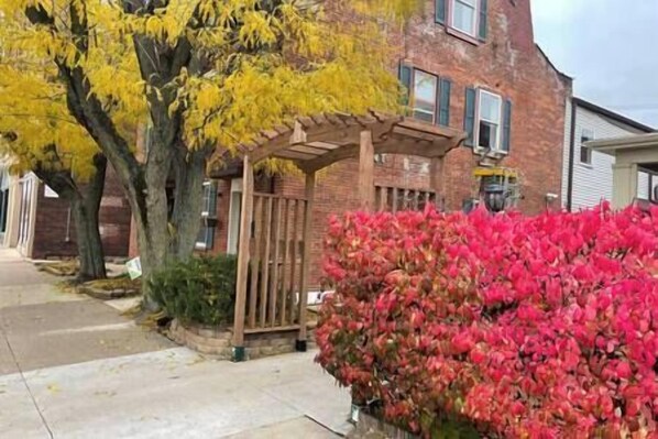 Outdoor in the Fall. 
