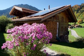Chalet Ried