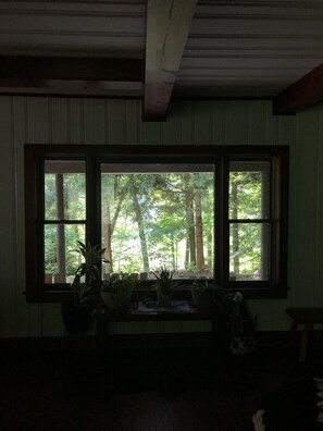 Front window view