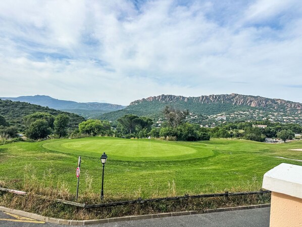 View