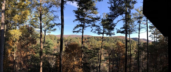 View from the porch in the fall