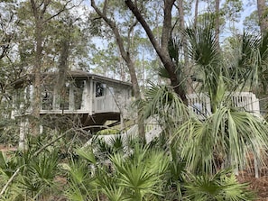 Deer Island is located on one of Sea Pines Forest Preserves!