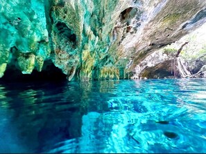 Cenotes nearby Loft with Beautiful Clear BLUE REFRESHING waters.